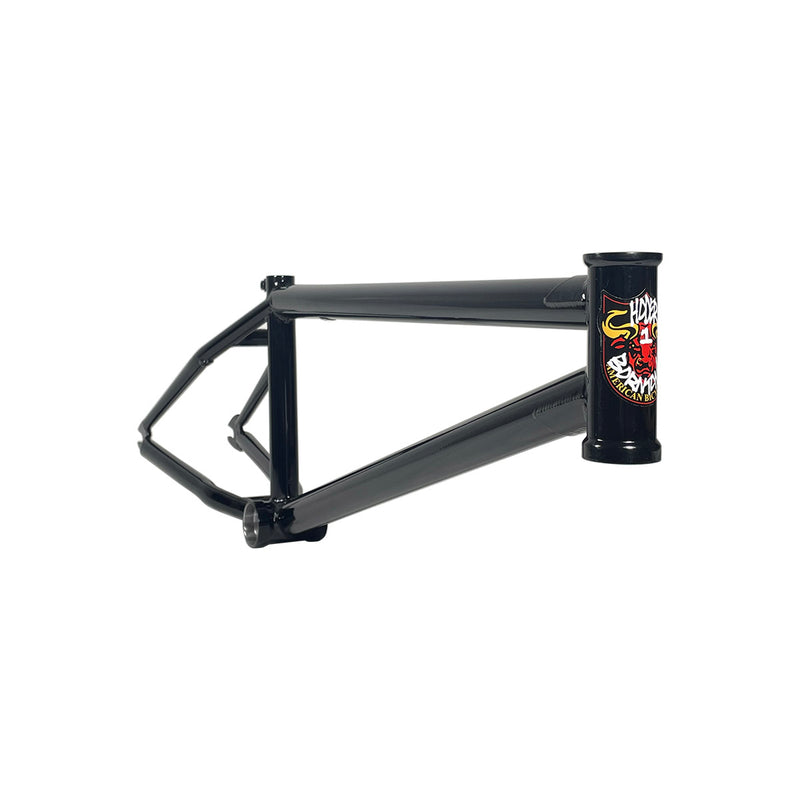 S&M Hoder BTM BMX Frame