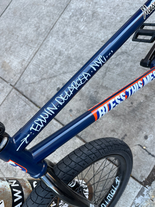 Edwin DeLaRosa BTM XL Custom Complete BMX Bike