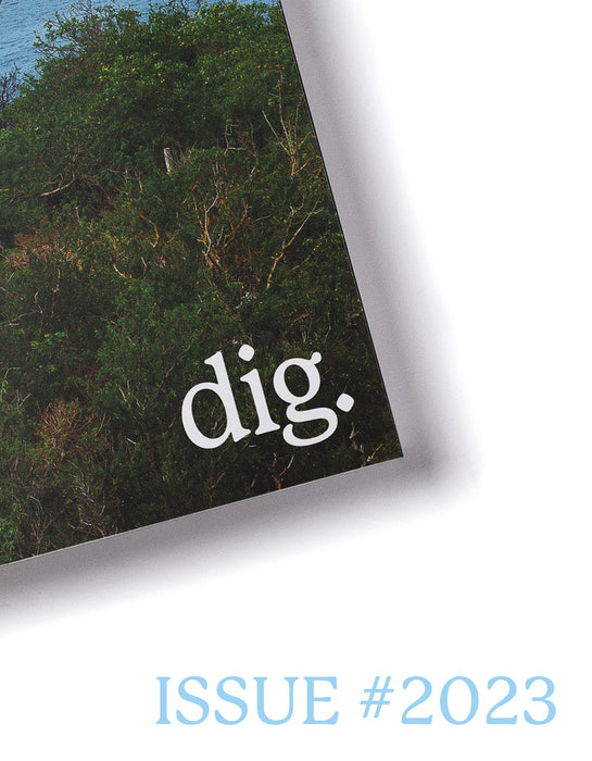 DIG ISSUE #2023