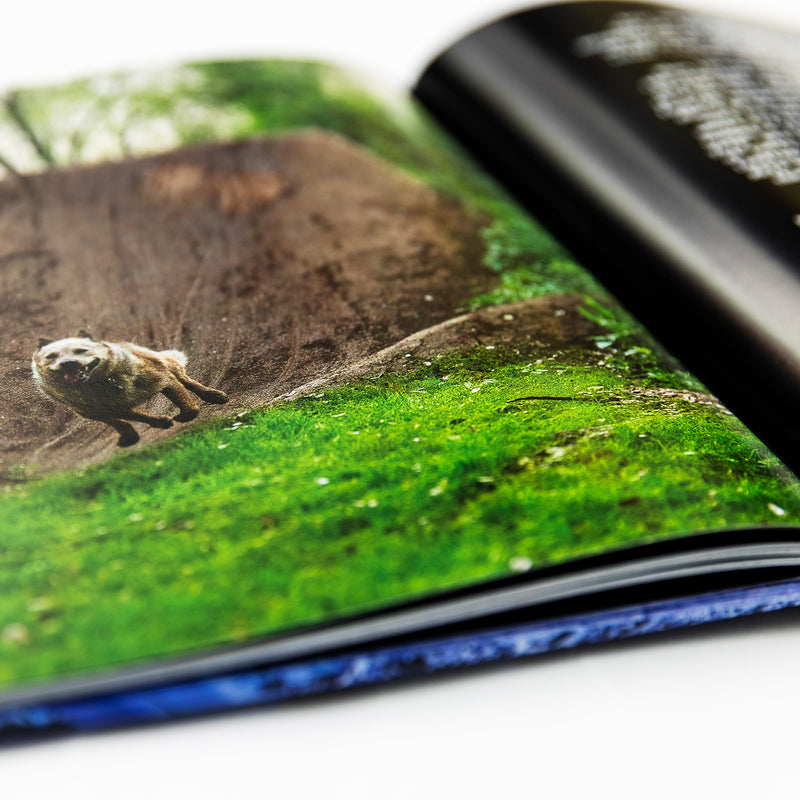 MAINTAIN IV.V - “ DERAILED ” Book by Rob Dolecki