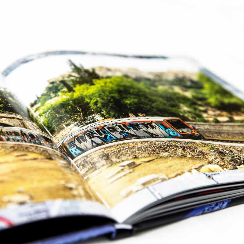 MAINTAIN IV.V - “ DERAILED ” Book by Rob Dolecki