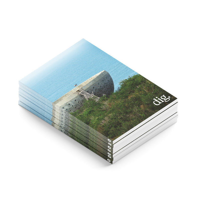 DIG ISSUE #2023