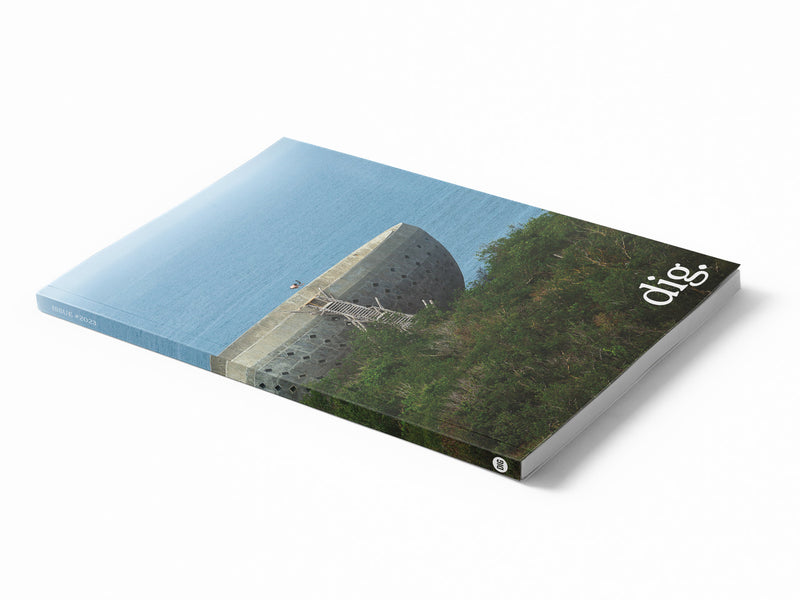 DIG ISSUE #2023