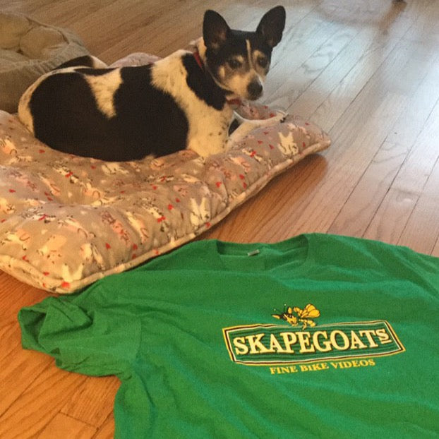 Skapegoat Projects Queen Bee Shirt